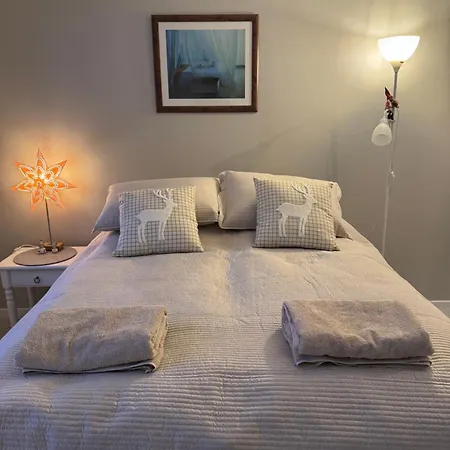Aurora Cozy