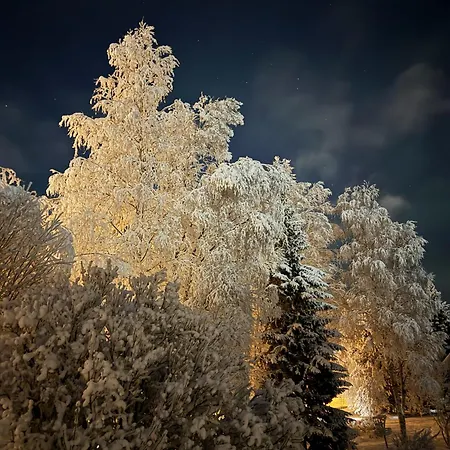 Апартаменты Aurora Cozy