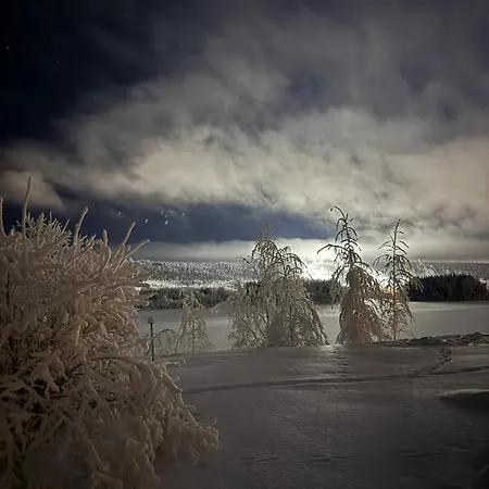 Aurora Cozy * Рованиеми