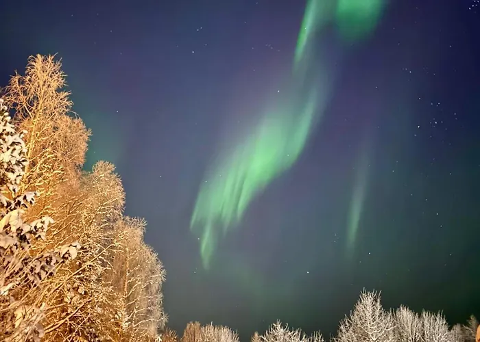 Aurora Cozy Διαμέρισμα *